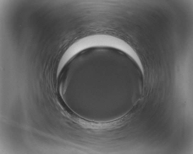 X0000082170039200701191319