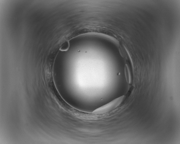 X0000082170040200701191319