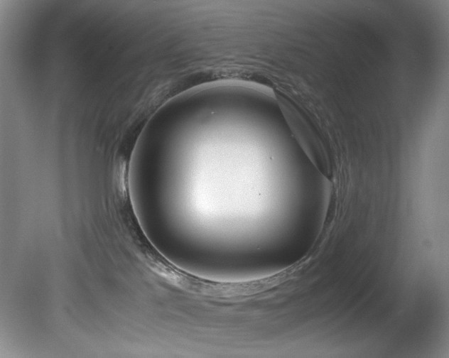 X0000082170041200701191319