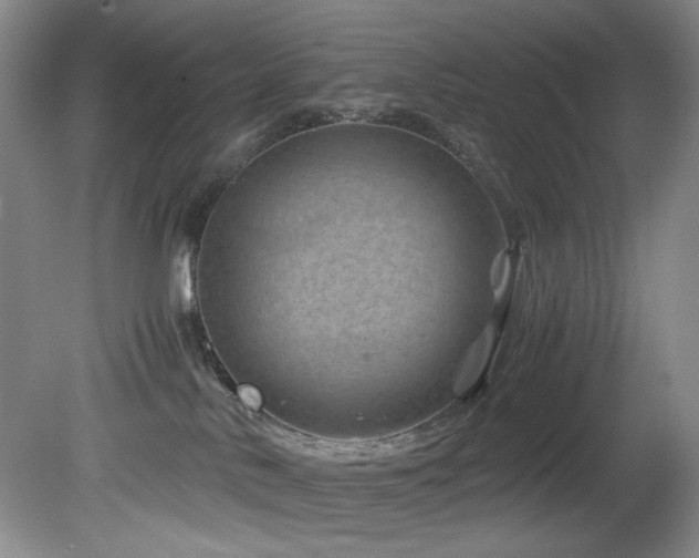 X0000082170042200701191319