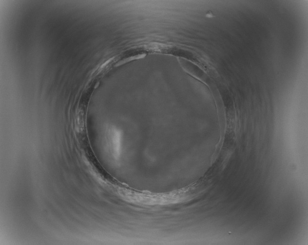 X0000082170043200701191319