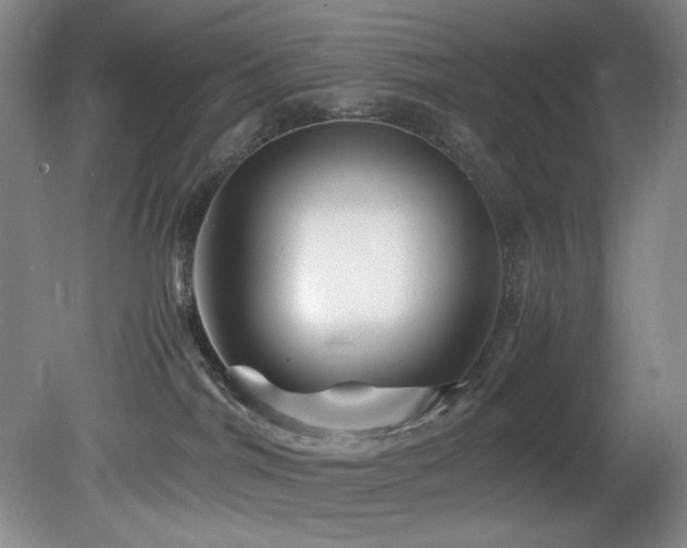 X0000082170044200701191319