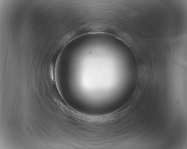 X0000082170046200701191319