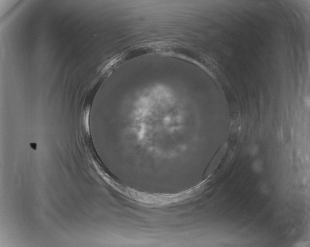 X0000082170047200701191319