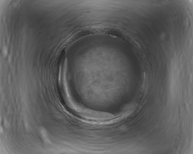 X0000082170048200701191319