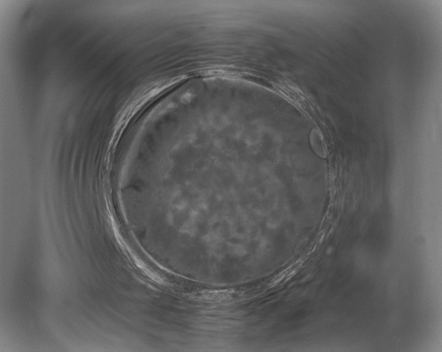 X0000082170049200701191318