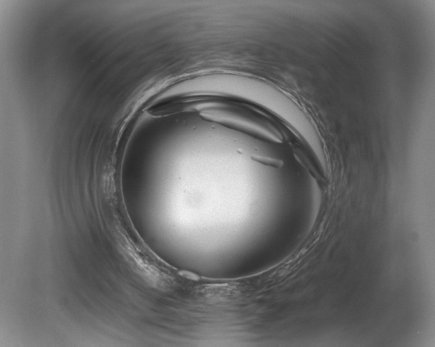 X0000082170050200701191318