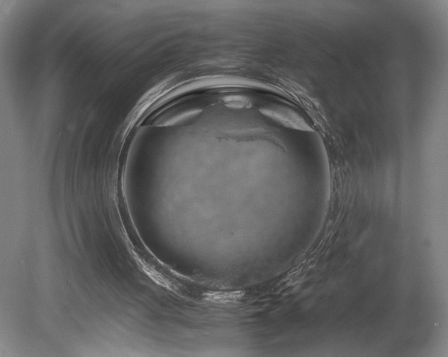 X0000082170051200701191318