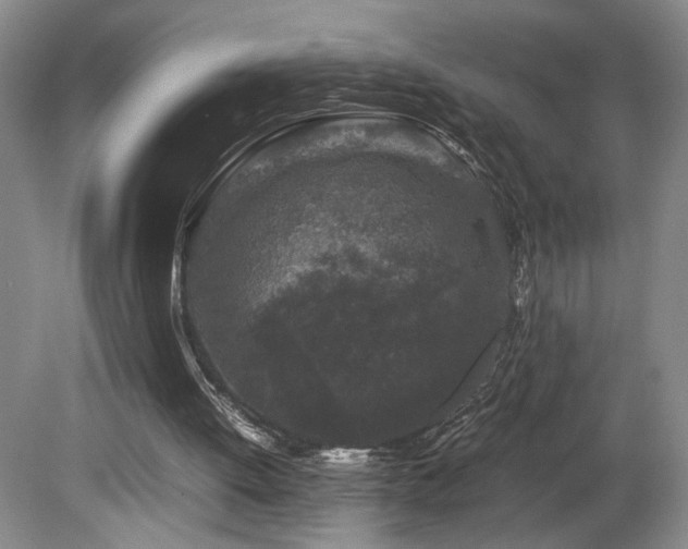 X0000082170052200701191318