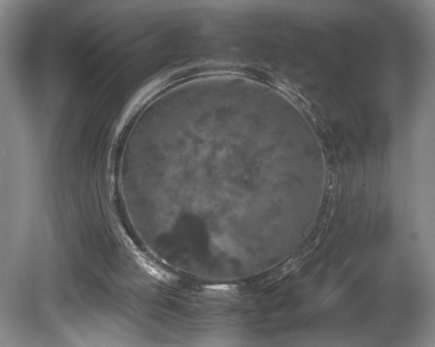 X0000082170053200701191318