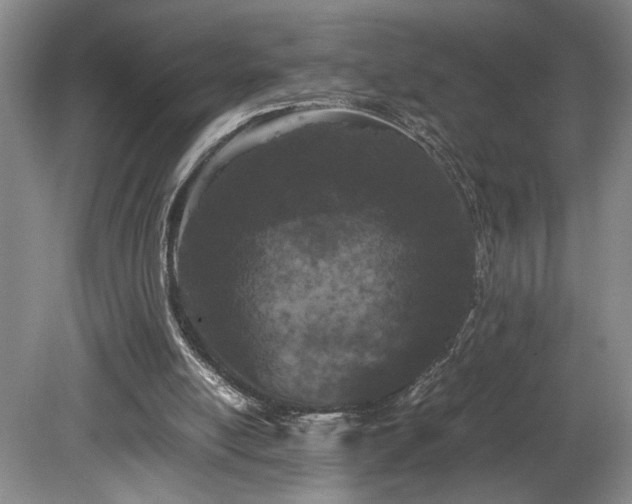 X0000082170054200701191318