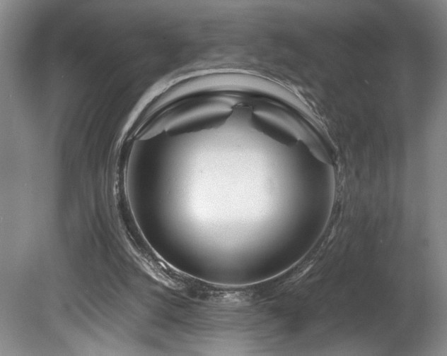 X0000082170056200701191318