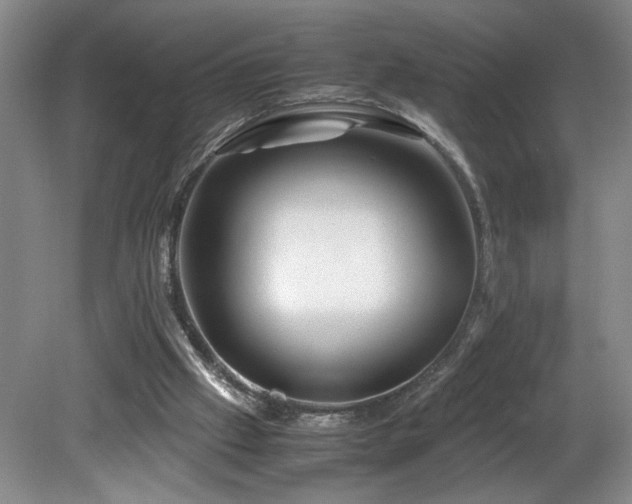 X0000082170057200701191318