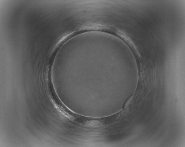 X0000082170058200701191318