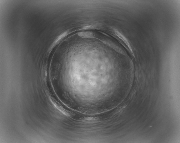 X0000082170059200701191318