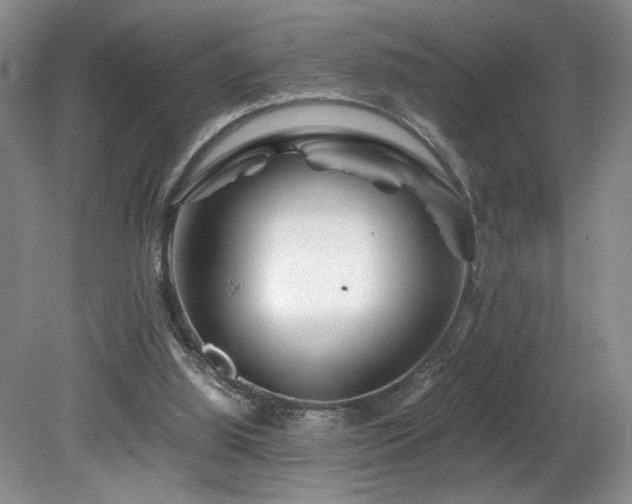 X0000082170060200701191318