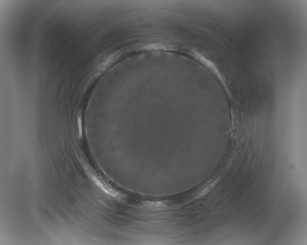 X0000082170061200701191318