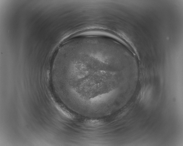 X0000082170063200701191318