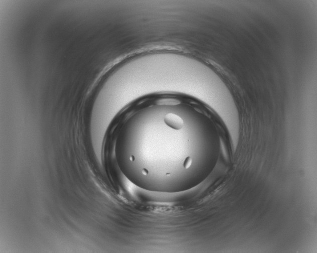 X0000082170064200701191318