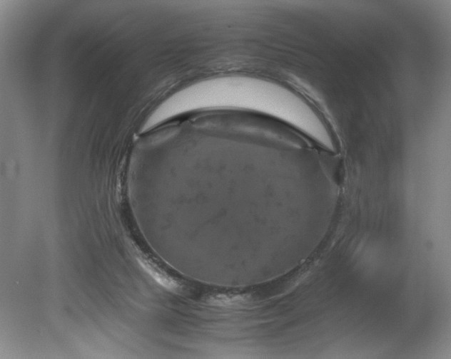 X0000082170065200701191318