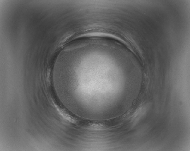 X0000082170066200701191318