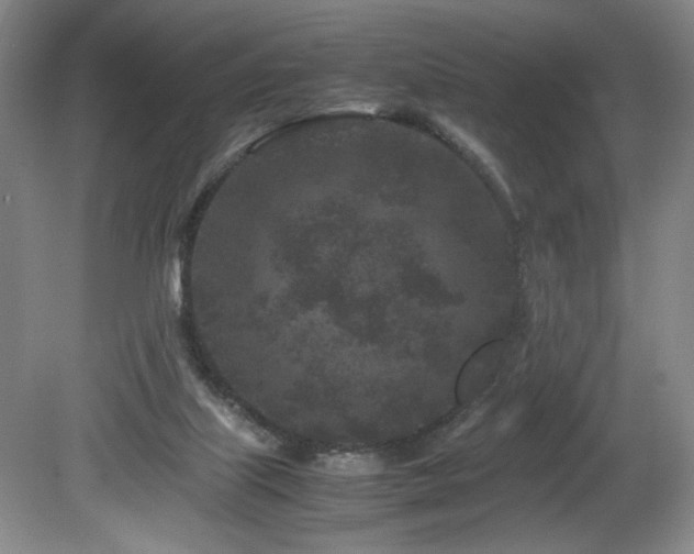 X0000082170067200701191318