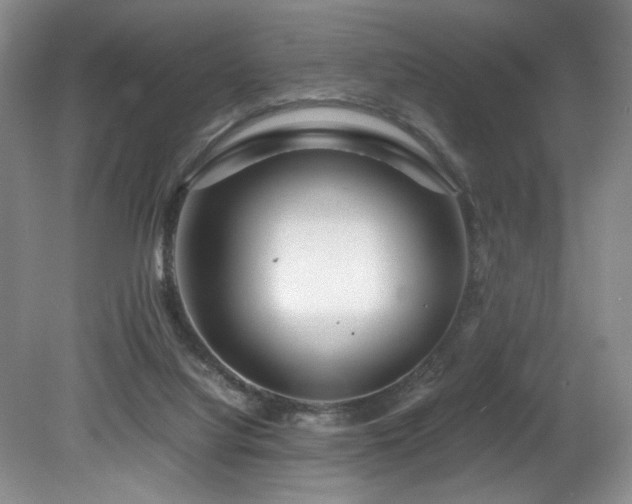 X0000082170068200701191318