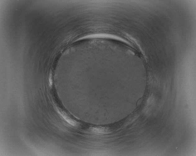 X0000082170069200701191318