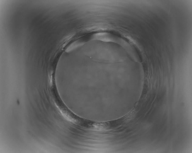 X0000082170070200701191318