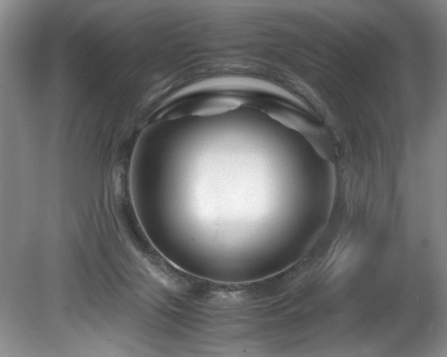 X0000082170071200701191318