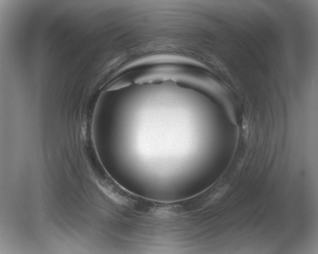 X0000082170072200701191318