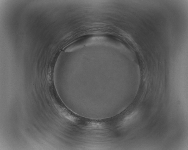 X0000082170073200701191318