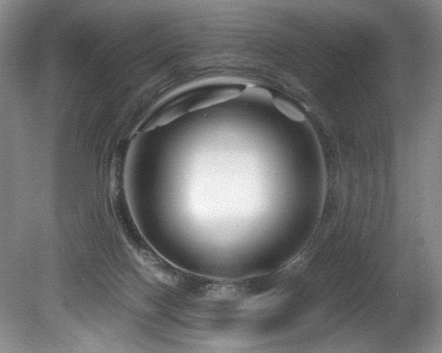 X0000082170074200701191318