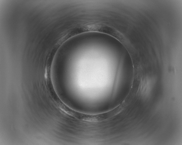 X0000082170075200701191318