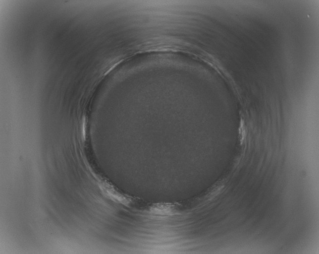 X0000082170076200701191318