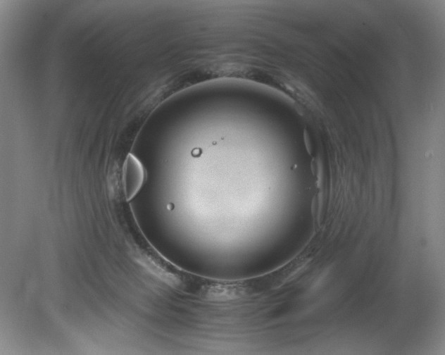 X0000082170077200701191318