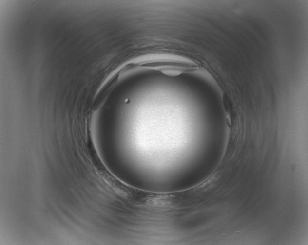 X0000082170078200701191318