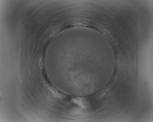 X0000082170079200701191318