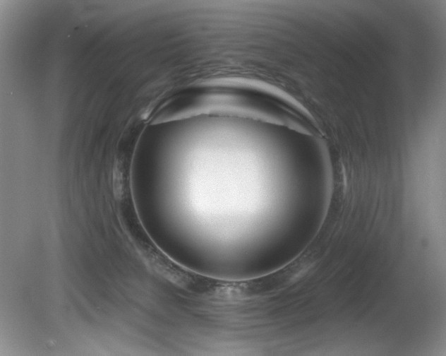 X0000082170080200701191318