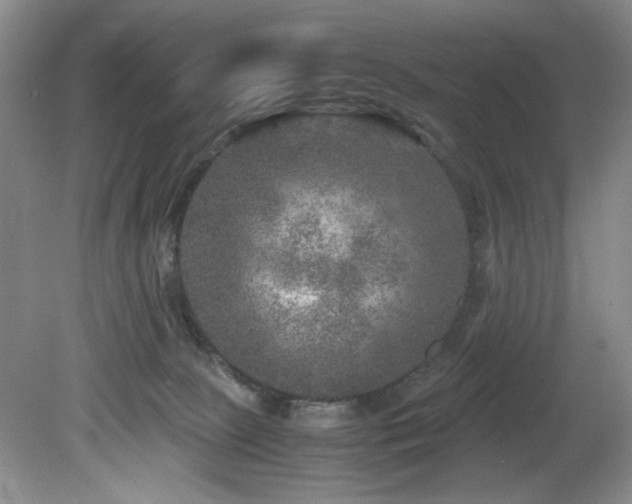 X0000082170081200701191318