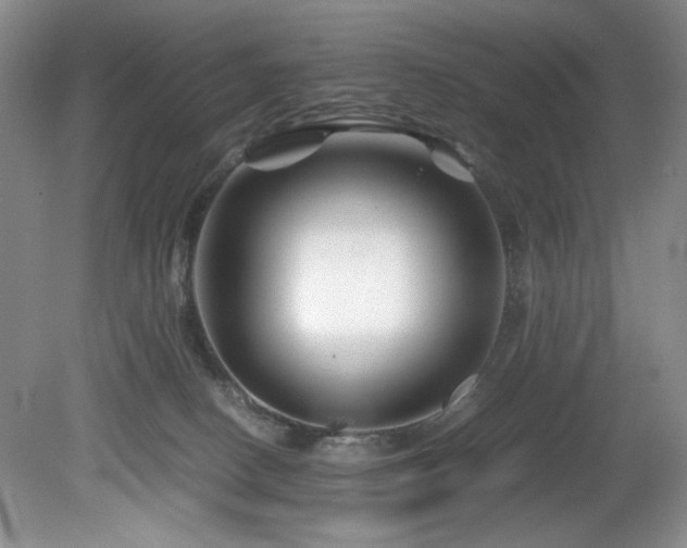 X0000082170082200701191318