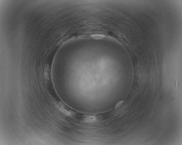 X0000082170083200701191318