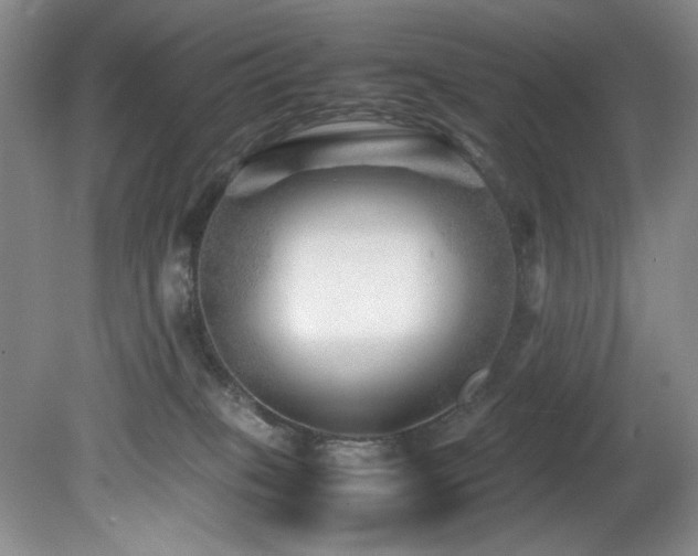 X0000082170085200701191318