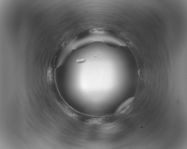 X0000082170086200701191318