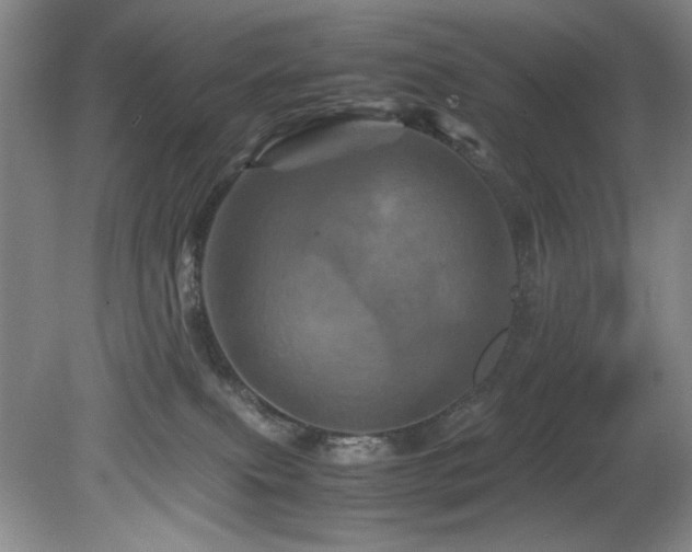 X0000082170087200701191318