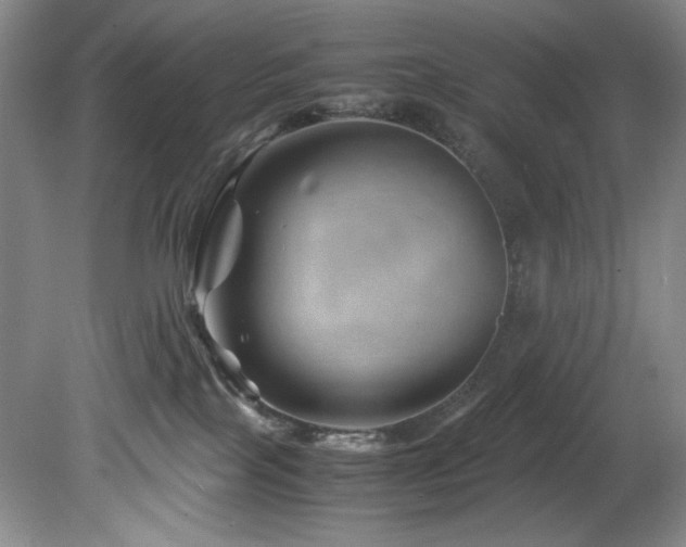 X0000082170089200701191318