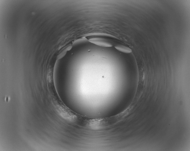 X0000082170090200701191318