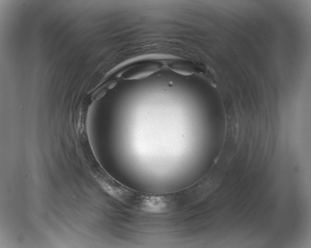 X0000082170091200701191318