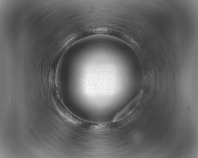 X0000082170092200701191318