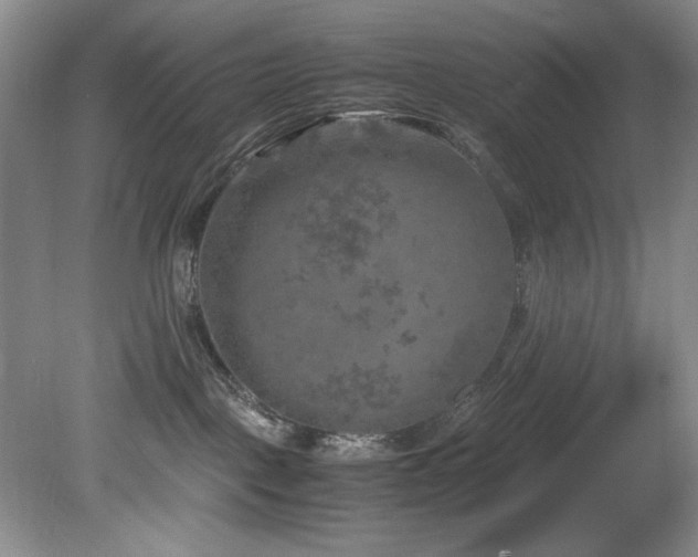 X0000082170093200701191318